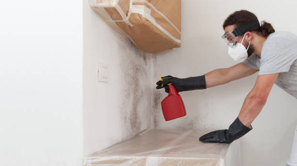 Professional Crawl Space Mold Remediation technician working in Guston, KY